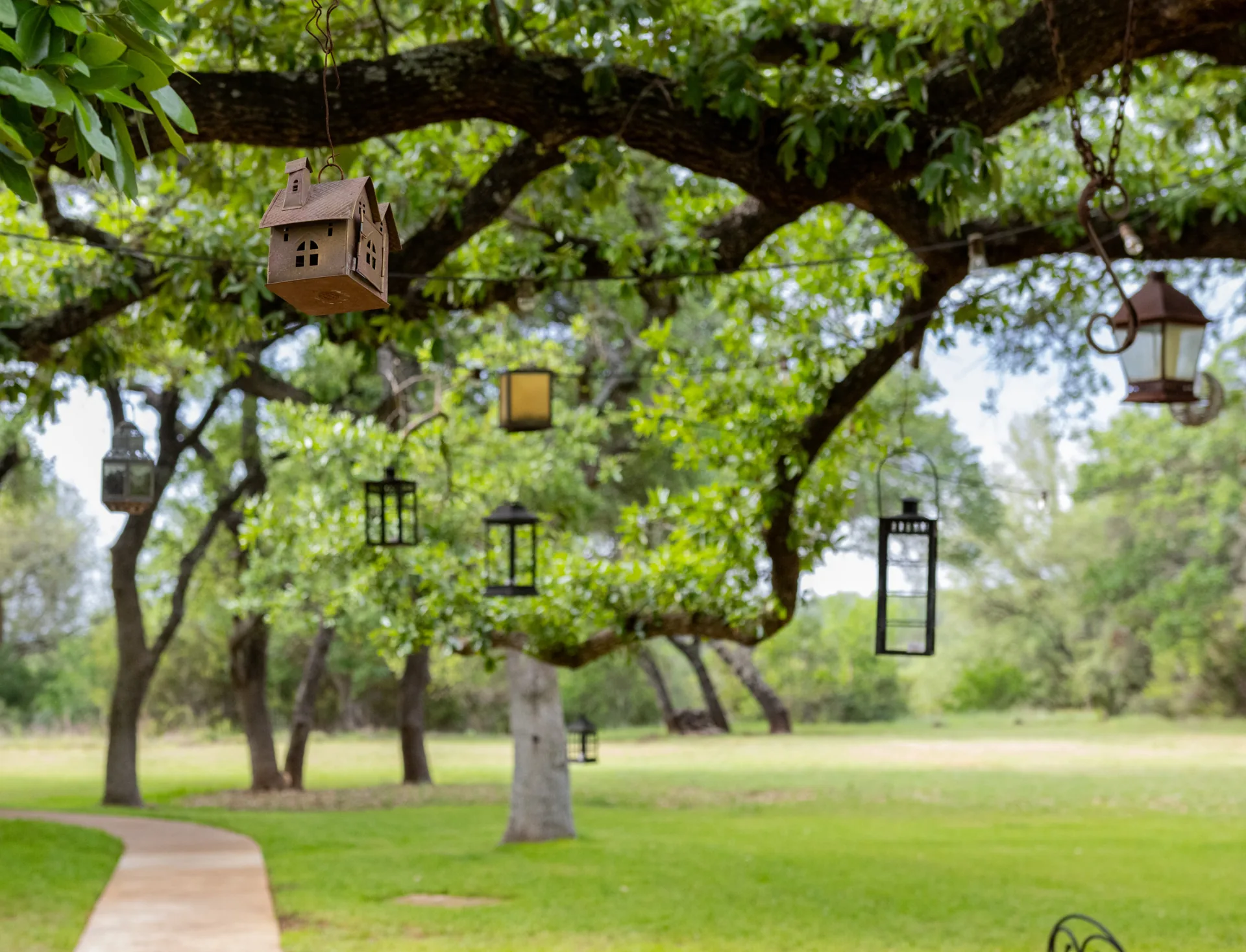 Hill Country venue at golden hour
